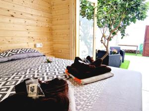 Villa Blanca apartment, Garden view 2 Bedrooms