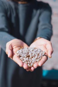 Ai-oon b1 by Triple a coffee