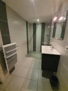 Appartements Joli appartement St Cyprien Village : photos des chambres