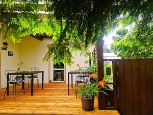 Rozbrykany Muflon - Modliszów