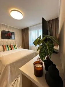 The 30th - Sînpetru