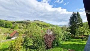 Fewo Jörges - Ehrenberg