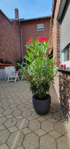 Ferienwohnung Am Gillrather Hof