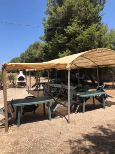 Monaco Mirante Holidays