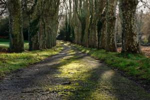 Le Domaine de Camboyer, The Originals Collection