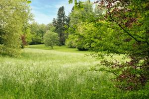 Le Domaine de Camboyer, The Originals Collection