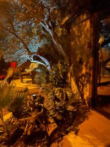 Villas VILLA PARADIS piscine privee sans vis a vis et plage : photos des chambres