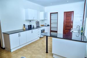 Mount Meru View Homestay