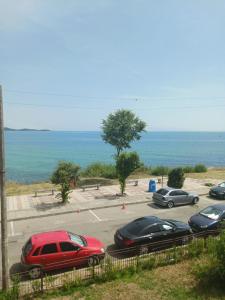 хотел Ропотамо