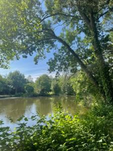 Campings Camping Onlycamp le Clos Imbert : photos des chambres