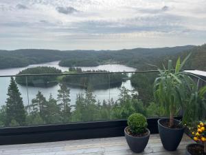 Arendalsuka Vacation Norway