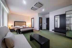 Hotel Astory Plzeň - 4-star hotels in Plzeň