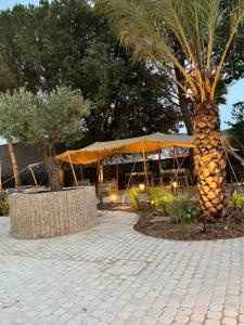 Hotels Hotel Le Relais des Brasseurs - Aubagne : photos des chambres