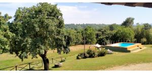 azienda agricola lo zolfino