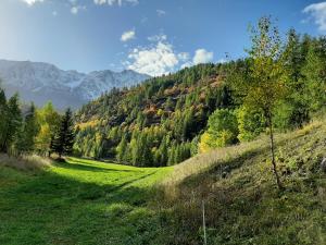 Chalets Hotel Chalet du Bon Air : photos des chambres