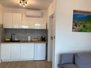 Słoneczne Apartamenty - Zawóz