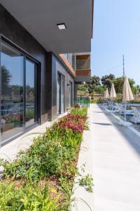 Silence Garden Suite GRP