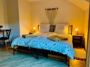 GÓRSKA CISZA - Duży, komfortowy, wyjątkowy Apartament - Pelc Tyrolca