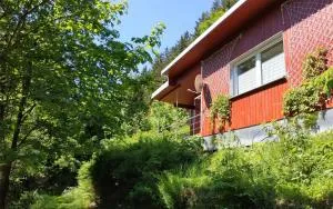 Ferienhaus WaldLuftin - Igelshieb