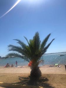 Villa AP with Pool Zadar Nin