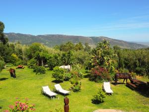 Villa Horses and Nature