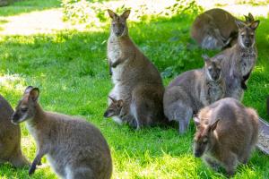 Welcome in - Studio Kon Emmaweg 6, Vrouwenpolder