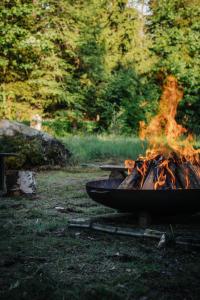 Zielony Jeleń - sauna i jacuzzi