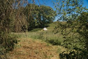 Tente Yourte de La roulotte ruche