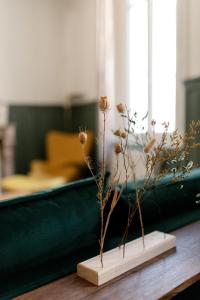 Appartements Appartement plain pied centre Eu : photos des chambres