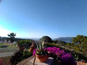 Gavila's Residenza Turistico Alberghiera - Capo D'Arco