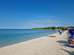 Beautiful Alisa Home 