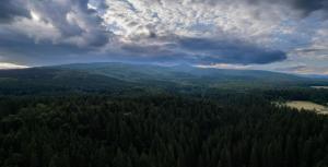 Cabana Transylwonder