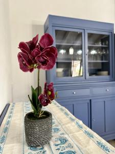 Villa Smeraldo Castiadas img30