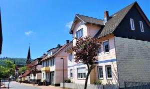 HIRSCH FeWo Brocken - Parkplatz - Zentral