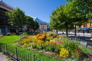Appartements Appartement les Dryades D92 Happy Rentals : Appartement avec Vue sur la Montagne
