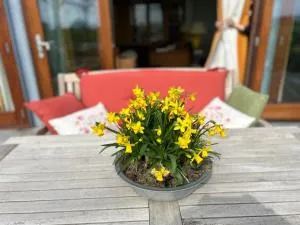 Hestar Husid, het luxe paardenhuis - Weesp