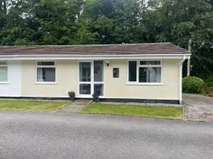 Beekeepers Cottage - Saint Cleer