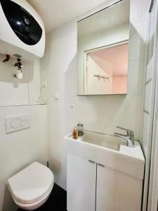 Au centre de paris Saint-michel et St germain despres