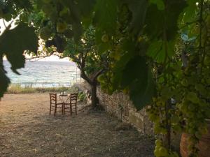 Villa Aphrodite