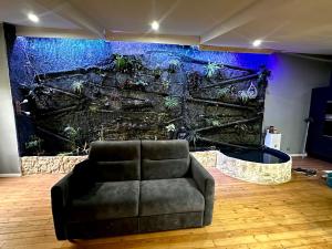 Appartements Jungle Gite : photos des chambres