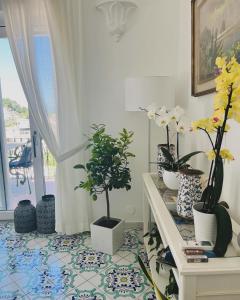 B&B LAgapanto