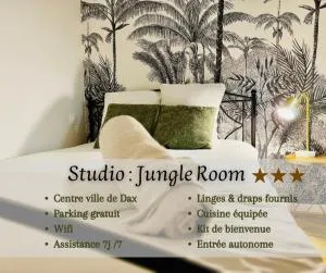 Jungle Room, centre ville Dax - Seyresse