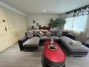 Maisons d'hotes Chez Basou : photos des chambres