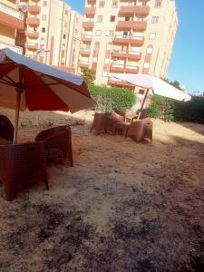 شقة جديدة بقرية القصر الملكى بمرسى مطروح