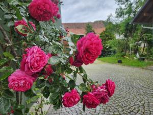 Familienfreundlich im Naturpark Haßberge mit gehobener Gastronomie