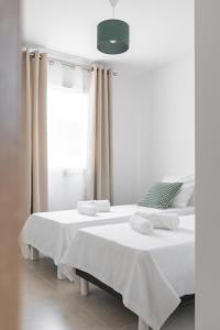 Villas Villa Lavande : photos des chambres