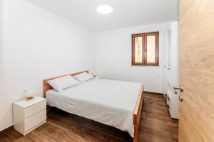 Apartma Oljka