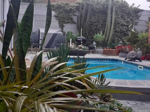 Mi Amor Accommodation