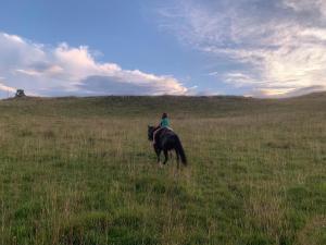 Casa no Campo, aconchego com lareira e banheira em quase todas Cabanas!
