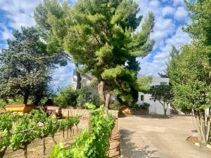 Villas Villa Zen : photos des chambres